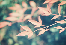 阿贾克斯遭对手狂轰乱炸，晋级前途黯淡