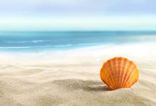 欧洲足球盛事即将打响，胜者可获光耀