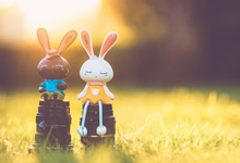 格拉纳达球员集体起义球迷力挺