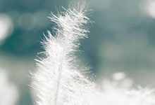 欧洲足球盛事即将打响，胜者可获光耀