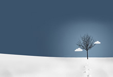 欧洲顶尖球队将在绚丽赛场上碰撞